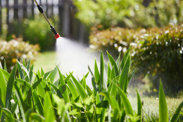 Tamper-Resistant Bait Stations for Rodents in Crestline