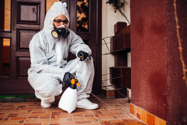 Attic and Crawl Space Rodent Treatment in Crestline